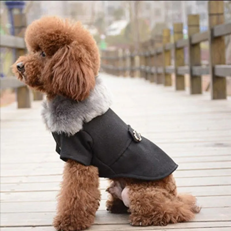 Chic Winter Dog Coat with Fur Collar | Petiboo Dog Clothes