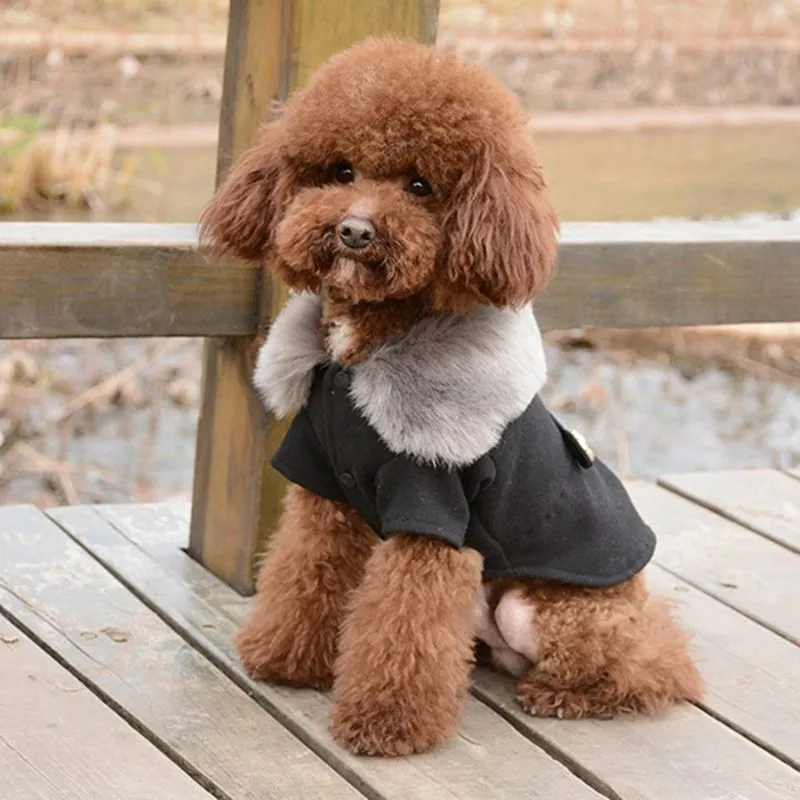 Chic Winter Dog Coat with Fur Collar | Petiboo Dog Clothes