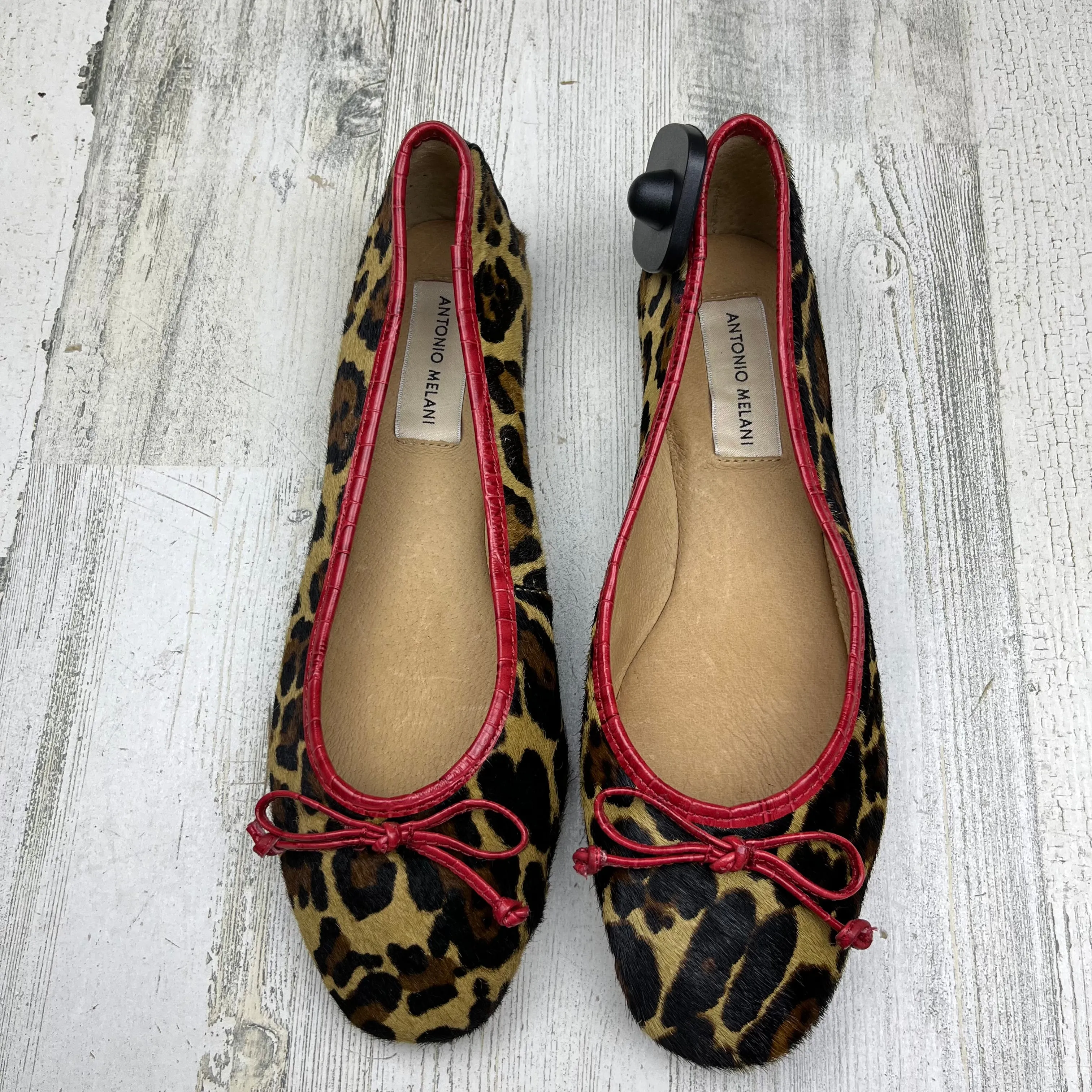 Shoes Flats Ballet By Antonio Melani  Size: 6.5